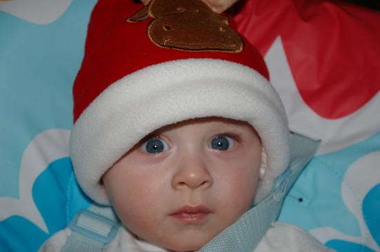 coucouc c'est moi le plus beau ! ! !