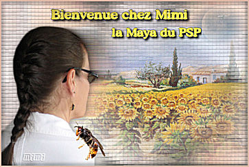 Bienvenue chez Mimi la Maya du PSP